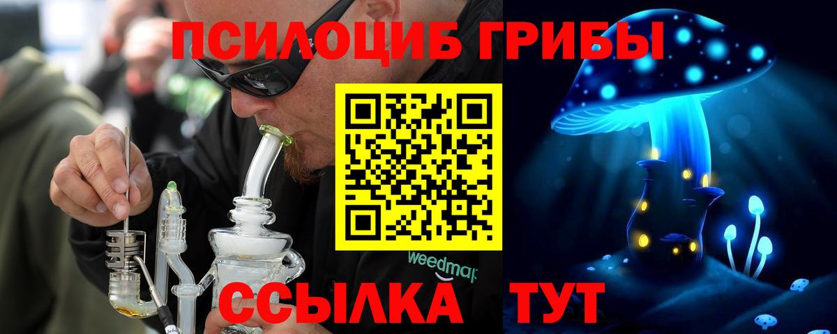 Галлюциногенные грибы Psilocybe  Вход с VPN  Псилоцибиновые грибы MAGIC MUSHROOMS  Городец 